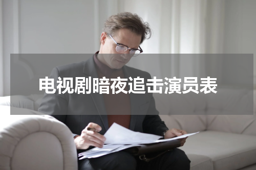 电视剧暗夜追击演员表