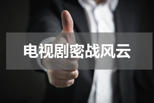 电视剧密战风云