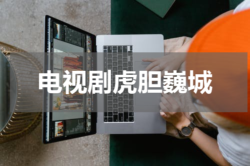 电视剧虎胆巍城