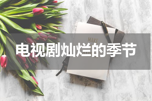 电视剧灿烂的季节