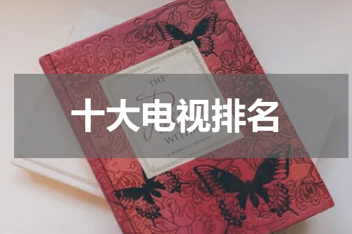 十大电视排名