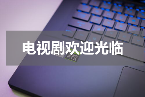 电视剧欢迎光临