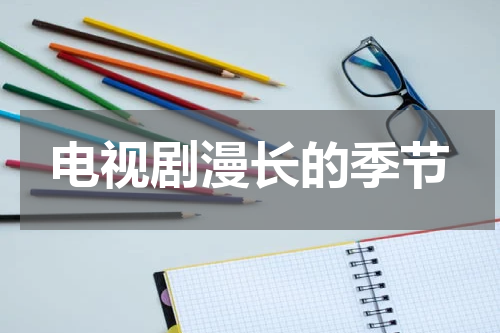 电视剧漫长的季节