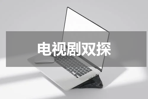 电视剧双探