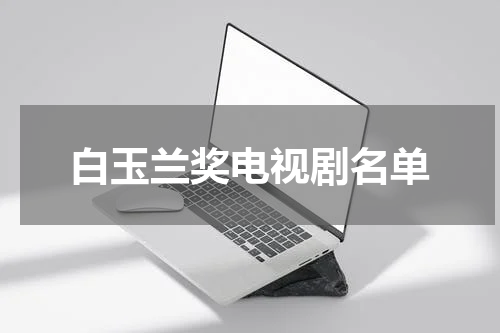 白玉兰奖电视剧名单