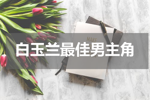 白玉兰最佳男主角