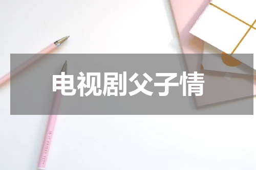 电视剧父子情