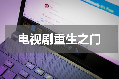 电视剧重生之门
