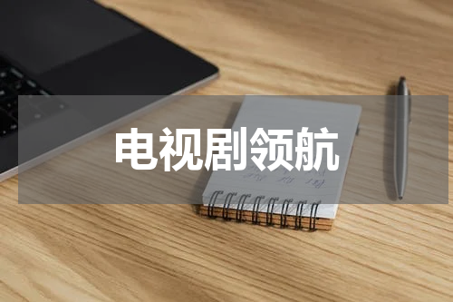 电视剧领航