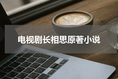 电视剧长相思原著小说