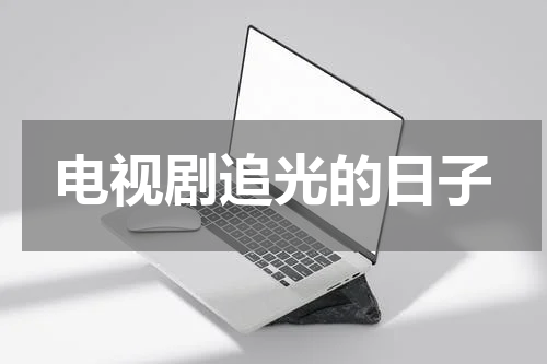 电视剧追光的日子