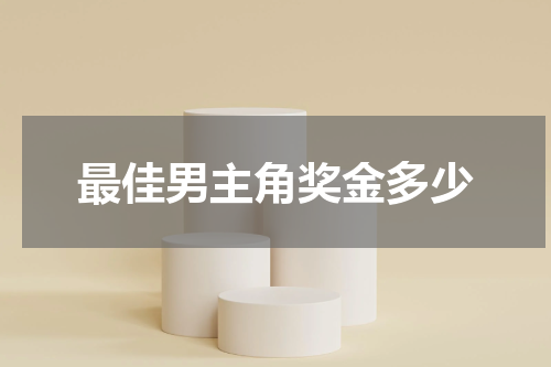 最佳男主角奖金多少