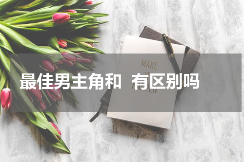 最佳男主角和  有区别吗