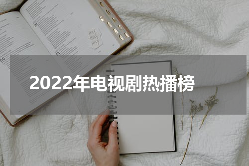 2022年电视剧热播榜