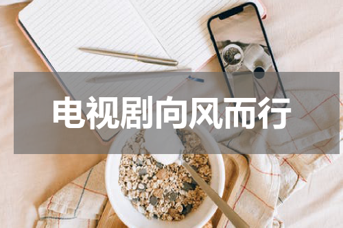 电视剧向风而行