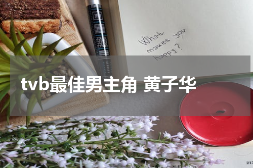 tvb最佳男主角 黄子华