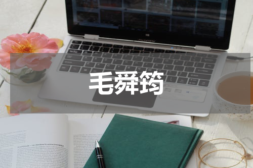 毛舜筠