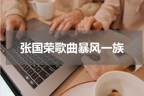 张国荣歌曲暴风一族