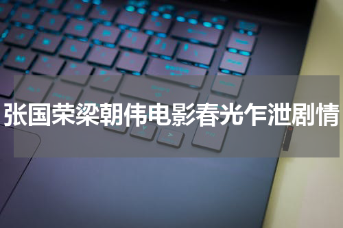 张国荣梁朝伟电影春光乍泄剧情