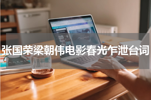 张国荣梁朝伟电影春光乍泄台词