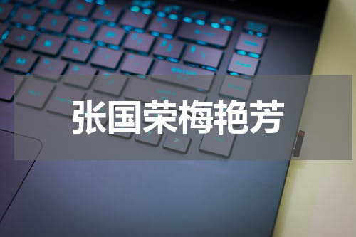 张国荣梅艳芳