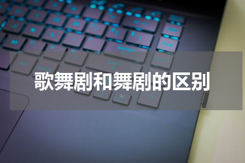 歌舞剧和舞剧的区别
