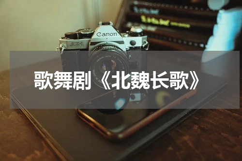 歌舞剧《北魏长歌》