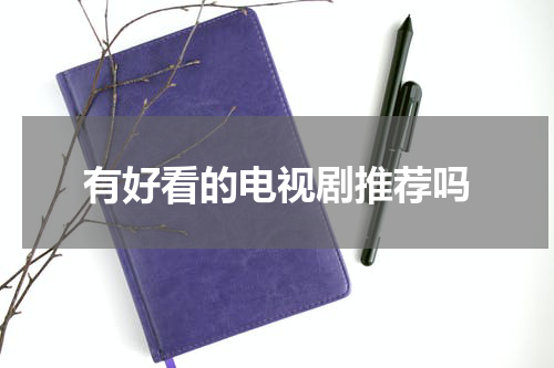有好看的电视剧推荐吗