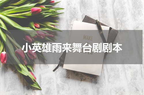 小英雄雨来舞台剧剧本