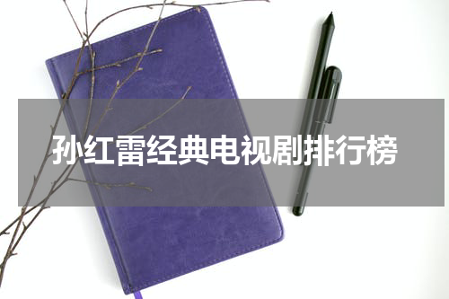 孙红雷经典电视剧排行榜
