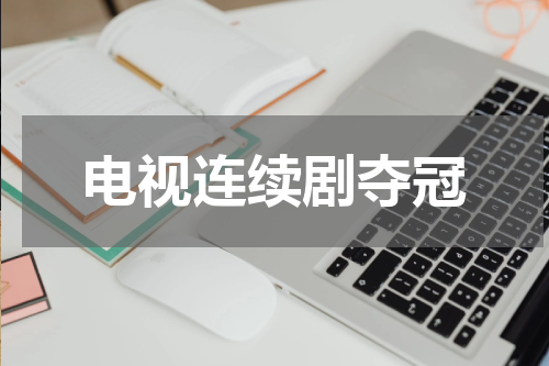 电视连续剧夺冠