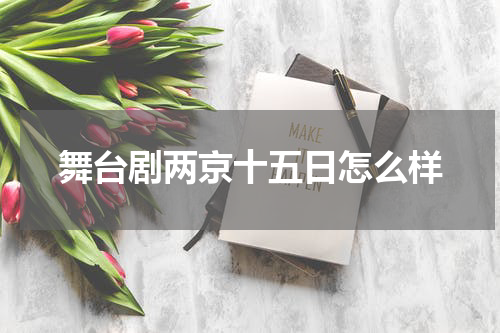 舞台剧两京十五日怎么样