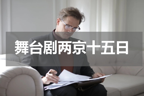 舞台剧两京十五日