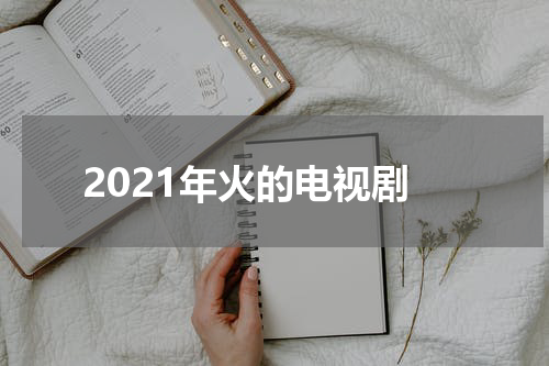 2021年火的电视剧