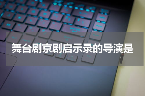 舞台剧京剧启示录的导演是