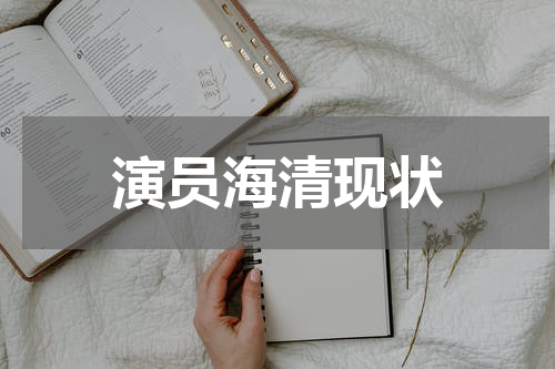 演员海清现状