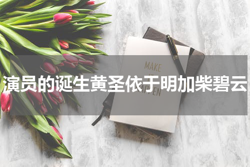 演员的诞生黄圣依于明加柴碧云