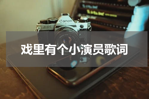 戏里有个小演员歌词