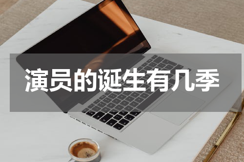演员的诞生有几季