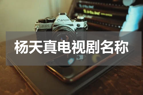 杨天真电视剧名称