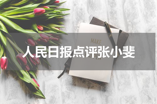 人民日报点评张小斐