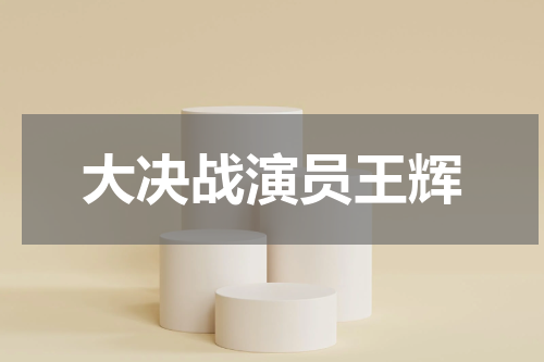 大决战演员王辉