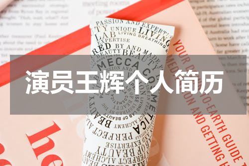 演员王辉个人简历