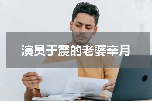演员于震的老婆辛月