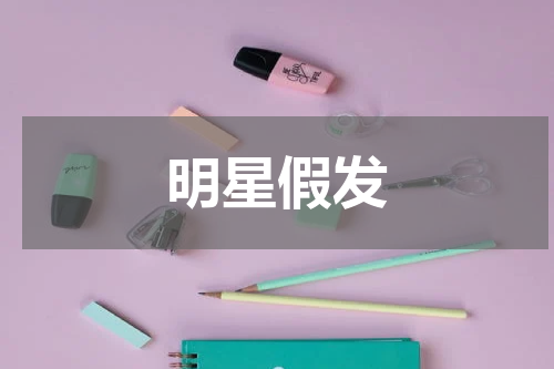 明星假发