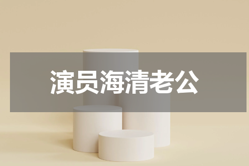 演员海清老公