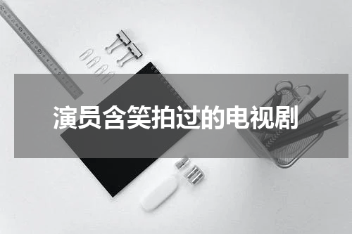 演员含笑拍过的电视剧