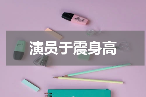 演员于震身高