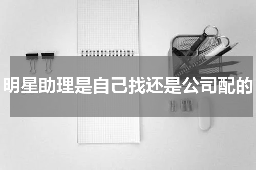 明星助理是自己找还是公司配的