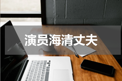 演员海清丈夫